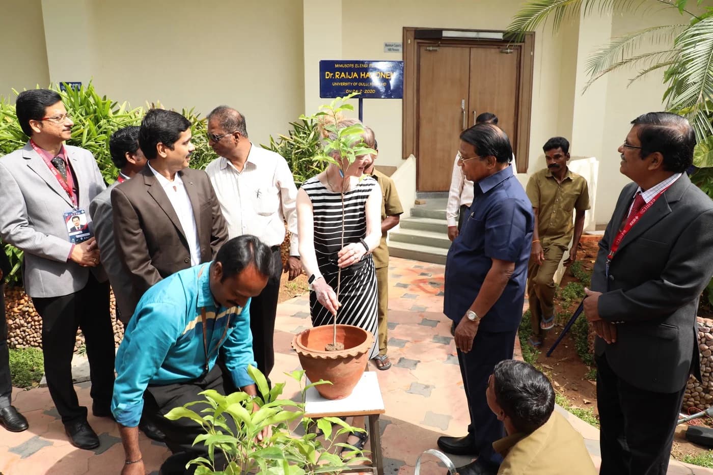 Tree Plantation - Dr. Raija Halonen (Univ. of Oulu)